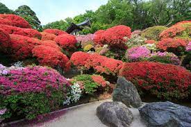 9 Traditional Japanese Plants For Your Garden Japanesegardening Japanese Garden Plants Small Japanese Garden Japanese Garden Style