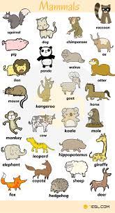 Learn more about how we work to enlighten people about conservation issues and save wildlife across the globe. Animal Names Types Of Animals List Of Animals Animal Pictures 7esl Animais Em Ingles Aulas De Ingles Para Criancas Ingles