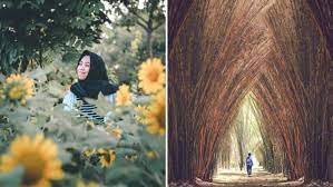 Hanya satu sumber referensi terlengkap dan terpercaya ekspor, impor dan bisnis direktori di indonesia. Liburan Ke Hutan Bambu Di Taman Harmoni Keputih Surabaya Ada Bunga Matahari Juga Lho