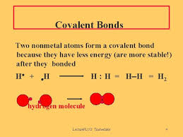 Student exploration ionic bonds gizmo answer key quizlet : Do Nonmetals Make Covalent Bonds