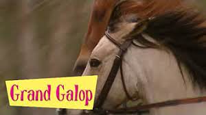Adapté d'une série de romans jeune public, grand galop suit la vie de trois passionnées d'équitation qui étudient au centre équestre du pin creux.les personn. Grand Galop Saison 2 Hd Serie Complete Youtube