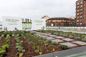 Scegli il tuo supermercato lidl di fiducia e fai la spesa online agli stessi prezzi del punto vendita. Lidl Italia Opens Store With Urban Garden In Turin Retail Leisure International