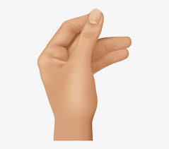 Free Png Hand Png Images Transparent Holding Hand Png Png Image Transparent Png Free Download On Seekpng When designing a new logo you can be inspired by the visual logos found here. free png hand png images transparent