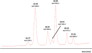 Image result for Sclerochiton vogelii