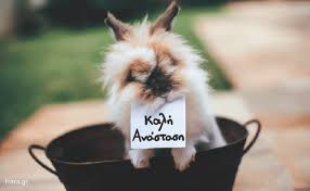 Πότε θα έρθει το πάσχα αρνάκι μου ψητό? Oi Pio Teleies Eyxes Gia To Pasxa Idiaiteres Kai Asteies Kartes Gia Na Eyxh8eite Kalh Anastash