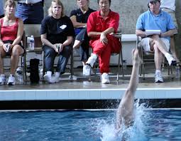 2008 USA Diving Spring Region 10 Championships