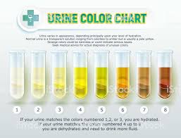 10 Urine Color Chart 1 Illustration Cat Urine Color Chart