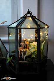 Glass Terrarium Planted With Tropical Plants And Decorated With Fairy Lights And Clay Mushrooms Indoor Terrarium Plants Geometric Terrarium Indoor Plant Care
