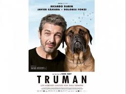 Movies with 20 or more rated reviews at rotten tomatoes are eligible for inclusion in this list. Truman To Quest 7 Movies That Got 100 Rating On Rotten Tomatoes In 2017 Business Standard News