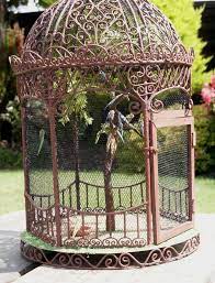 Victorian Aviary With Budgies Bird Cage Design Bird Cage Decor Vintage Bird Cage