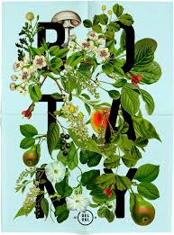 Thedreamingbeings Botany Illustration Art Design Illustration Design