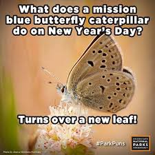 Bugs can be funny — 10 funny bug puns although bugs can be a nuisance during this time of year, we thought we'd have some fun and share some of our favorite bug puns and jokes. Puns And Punchlines A Party Mix Of Park Jokes Golden Gate National Parks Conservancy