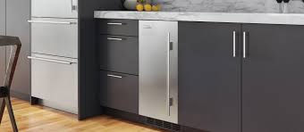 In the game, having both. Sub Zero 15 Ice Maker With Pump Panel Ready Uc 15ip