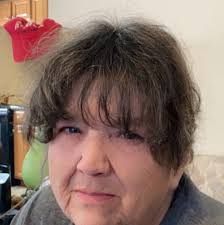 Need Christmas tree and decorations?