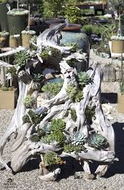 Driftwood Beauty Http Rogersgardens Com Design Ideas Garten Design Garten Ideen Garten
