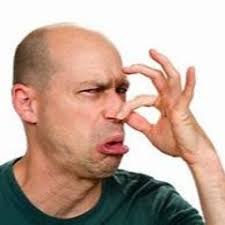 Stream MMS Music music