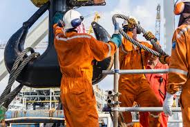 Supplying zirconia oxygen analyzers for flue gas monitoring. All About Ceva Logistics