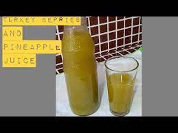 Turkey berry nutritional value comprises proteins, fibers, vitamins, minerals and antioxidant, explained here, besides sundakkai health . Haemoglobin And Immune Booster Turkey Berries And Pineapple Juice Remedy To Boost Blood Levels Youtube