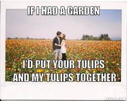 Tulips Meme Generator Diy Lol Best Pick Up Lines Corny Pick Up Lines Funny Opening Lines