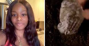 Azealia banks articles and media. Azealia Banks Appears To Have Dug Up And Cooked Her Dead Cat Know Your Meme