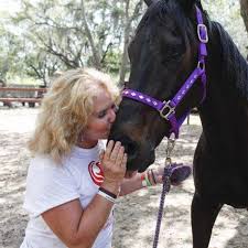 Volunteers rally for maligned horse rescue operation