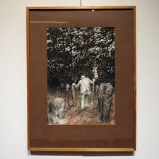 Bildergebnis für Roel D'Haese