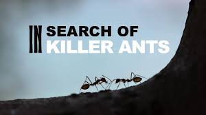 Maybe you would like to learn more about one of these? Pin On Watch Free Documentaries Online