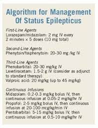 Amyotrophic Lateral Sclerosis Status Epilepticus Epilepsy Awareness Emergency Medicine