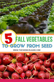 Depending on your local climate, fall vegetables may be planted directly in the soil or started indoors and transplanted to the garden. Five Easy Fall Vegetables To Grow From Seed