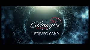 Enjoy free breakfast, free wifi, and free parking. Sinny S Leopard Camp Sojat Pali Rajasthan 9730675997 8793922868 Youtube