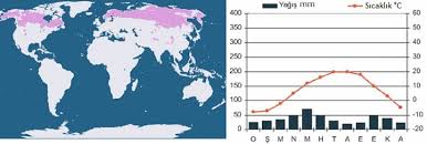 Tundra iklimi, kutupaltı iklim olarak da bilinmektedir. Sert Karasal Iklim Webders Net
