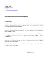 Les deux premiers tomes de cette formation cette formation à distance ne nécessite aucun niveau d'études, et permet de postuler auprès de particuliers, en maisons de retraite ou en milieu hospitalier. Lettre De Motivation Emploi Asv Definitif Fichier Pdf