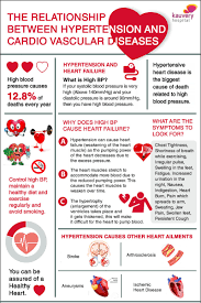 • myocarditis (inammation of the heart. The Relationship Between Hypertension And Cardio Vascular Diseases Infographic