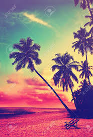 Download sunset with palm trees stock video by por888. Beautiful Tropical Beach With Silhouettes Of Palm Trees At Sunset Stock Photo Picture And Royalty Free Image Image 53588456