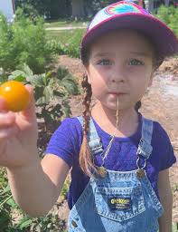 Serving Livingston, McLean, and Woodford Counties