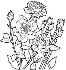 Printeaza aceasta plansa de colorat frumoasa flori crini desene de colorat 06. Desene De Colorat Cu Flori Flori De Desenat Usor Curatatorie Chimica Bar Rayan