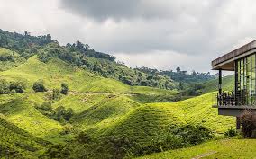 Our apartment is great for a large family and group of friends travelling to cameron highlands for a relaxing nature retreat. Exactly Where To Stay In Cameron Highlands 2021 Dive Into Malaysia