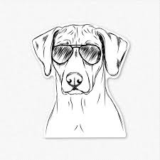 Ronan The Rhodesian Ridgeback Decal Sticker Print Vinyl Stickers Rhodesian Ridgeback Canine Art