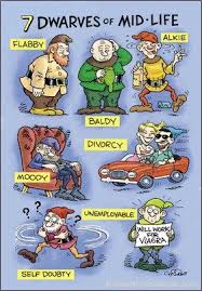 Saga Of The 7 Dwarves In The 21st Century Funny Cartoons Cartoon Jokes 7 Dwarfs