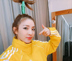In the fields of hairstyles, the medium sized hair is very common because of their easy wild hairstyles are the results of creativity and imagination of the people. Sandara Park Remembers Her Painful Palm Tree Hairstyle