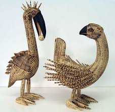 Image result for Tapura fischeri