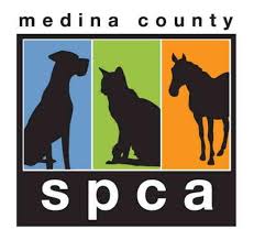 The mission of one of a kind pet rescue is to save the lives of animals in imminent danger of euthanasia and enrich the lives of people through rescue, spaying/neutering, adoption and advocacy on behalf of homeless pets. One Of A Kind Pet Rescue Home Facebook