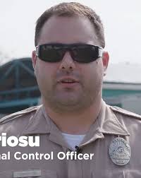 Become a Dog Trainer