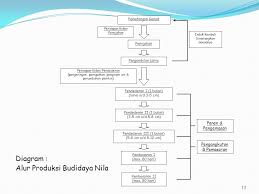 Alat dan bahan yang dibutuhkan dalam memproduksi pembenihan ikan hias secara tertulis siswa diminta menjelaskan terlebih dahulu peralatan pada proses produksi pembenihan ikan Teknik Pembenihan Ikan Nila Ppt Download