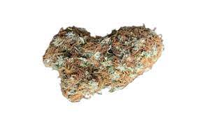 Titles granted under the offshore petroleum and greenhouse gas storage act 2006 (opggsa06) are administered by the national offshore petroleum titles administrator (nopta). How To Tell Pgr Weed The Visual Difference With Pgr Marijuana