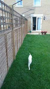 Cat Fencing Catio Ideas Secured Cat Garden Design Balcony Decoration Eco Friendly Garden Ideas Cat Fence Diy Cat Enclosure Cat Enclosure