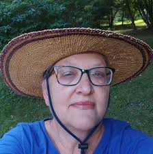 What are organic and natural remedies for getting rid of ants?