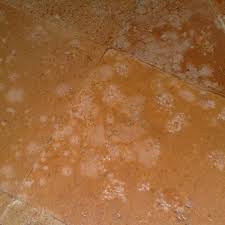 A short video showing some techniques for removing brick veneer with an air hammer.please visit my diy blog at: White Alcohol Ammoniac Or Bleach Stains On Terracotta Quarry Tiles And Brick What To Do Fila Solutions