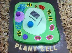 How do you make a plant cell model step by step? 21 Ideas De Plant Cell Structure Celula Animal Celula Vegetal Biologia