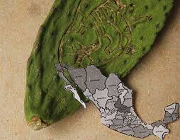 Publicidad En Tabasco Projekte :: Photos, videos, logos, illustrations and  branding :: Behance